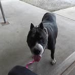 Profile Picture of Percy Hebert (@Percy-Hebert) on Facebook