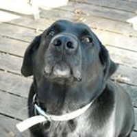 Profile Picture of Jake Hennes (@jake-hennes) on Quora