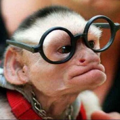 Profile Picture of Paul Daoust (@The_Pauletto) on Twitter