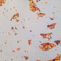 Profile Picture of Yesenia Angulo-bustamante (@yesenia-angulo-bustamante) on Quora