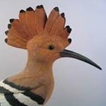 Profile Picture of Jeffrey Kimball (@kimball.jeffrey) on Instagram