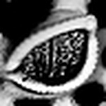 Profile Picture of D O R M A N (@d o r m a n) on Flickr