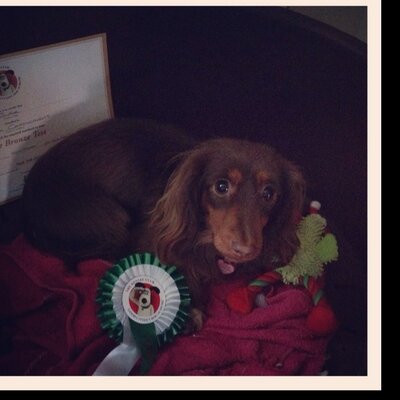 Sonia Cartwright - Twitter Profile Picture of Sonia Cartwright (@sonj1987) on Twitter