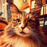 Profile Picture of Aldo (@al.caputo) on Instagram