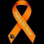 Profile Picture of Robert Nadeau (@nadeau.robert) on Instagram