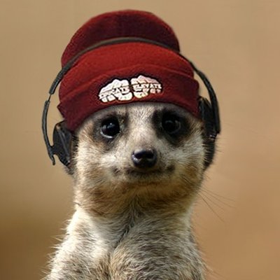 Profile Picture of Dan Rooke (@RookeDan) on Twitter