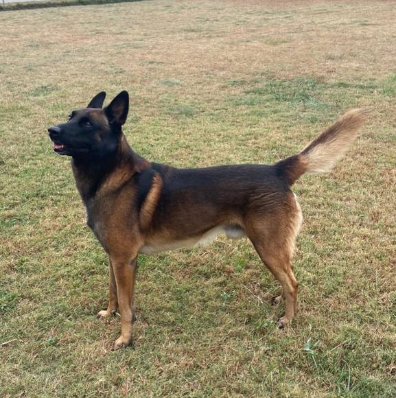 Profile Picture of Lisa Towler (@fuckyou1982) on Poshmark