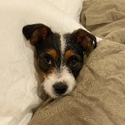 Profile Picture of Josh Fagen (@joshfagen) on Twitter