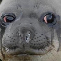 Profile Picture of Jacob Perales (@jacob-perales-1) on Quora