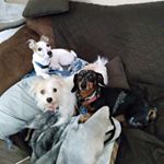 Profile Picture of Myra Highly Favored Keller (@myra_keller) on Instagram