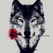 Profile Picture of Isabelle Alvarez (@ialvarez0191) on Pinterest