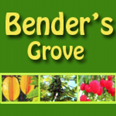 Profile Picture of Michael Bender (@BendersGrove) on Twitter