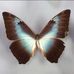 Profile Picture of Farah Mohammed (@FARAH.MOHAMMED05) on Facebook