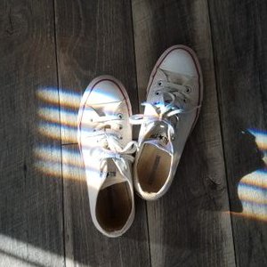 Profile Picture of Clay Pigeons (@DamnItCheryl) on Twitter