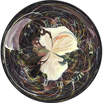 Profile Picture of Bronwyn Kenmir (@bronwyn kenmir) on Flickr
