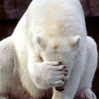 Profile Picture of Jason Mansell (@superfoxes72) on Twitter