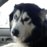 Profile Picture of Ernest Thomas (@ernest-thomas-39) on Quora