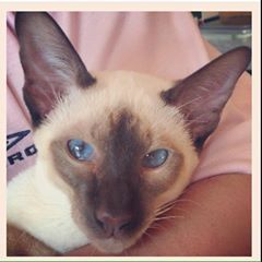 Profile Picture of Jacqui Graham (@babybeans0168) on Tiktok