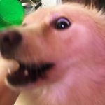 Profile Picture of Thục Trân (@tracyii_lee) on Instagram