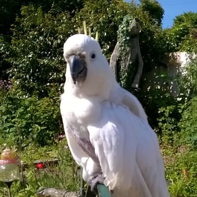 Profile Picture of Robyn Hatch (@RobynHatch7) on Twitter