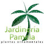 Profile Picture of Jardinería Pamela (@jardineriapamela) on Instagram