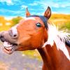 Profile Picture of David Saunders (@@davidsaunders14) on Tiktok