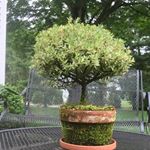 Profile Picture of Linda Kowalsky (@kowalskylinda) on Instagram