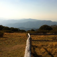 Profile Picture of Keely Gray (@keely-gray-6) on Quora