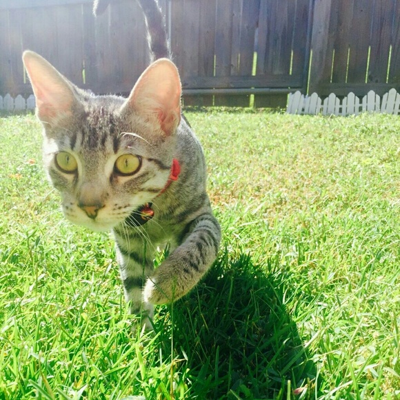 Profile Picture of Brenna Quinn (@bq14) on Poshmark