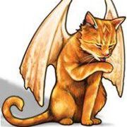 Profile Picture of Robert Nichols (@catdragon64) on Pinterest