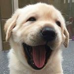 Profile Picture of Nguyen Ngoc Khanh Han (@bethocutee) on Instagram