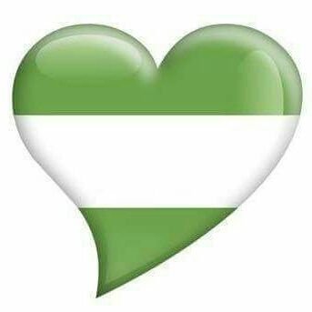 Profile Picture of Luis Chinchilla G (@nabero1) on Twitter