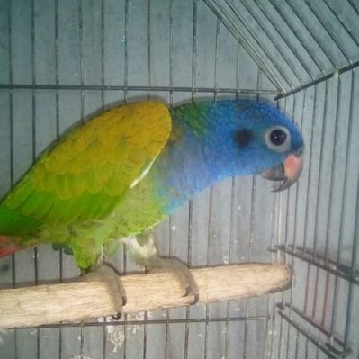 Profile Picture of La Lora (@Beatriz37775391) on Twitter