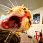 Profile Picture of Derrick Turner (@cyussy2712) on Instagram