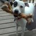 Profile Picture of Dixie Curtis (@dixie.curtis.50) on Facebook