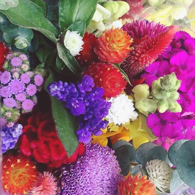 Profile Picture of Sarah Bloom (@theL8bloomer) on Twitter