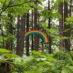 Profile Picture of Camilla Moritz (@camilla.moritz) on Instagram