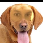 Profile Picture of Jacob Lintner (@spambocajjj) on Instagram
