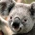 Profile Picture of Kathy England (@kathy.england.3511) on Facebook