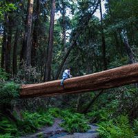 Profile Picture of Nick Larson (@13larson) on Pinterest