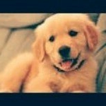 jean michal - Instagram Profile Picture of jean michal (@marie55ange552018) on Instagram