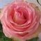 Profile Picture of Debra Devries (@debra.devries.3) on Facebook