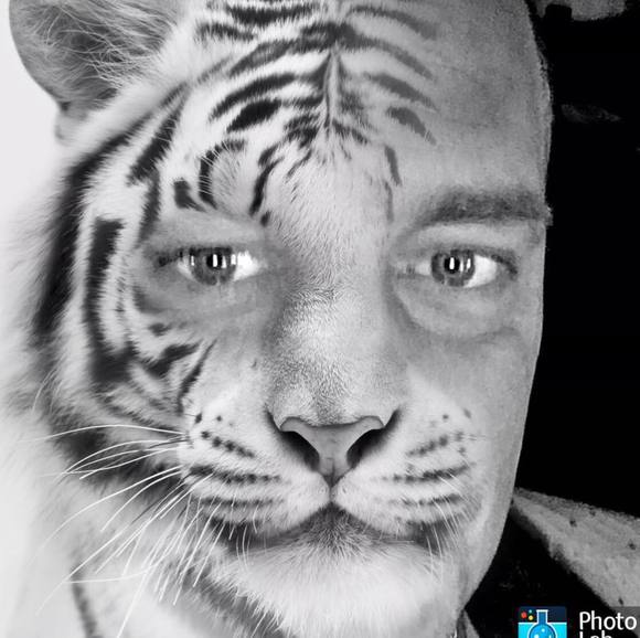 Profile Picture of Steve Wayne (@skuklovsky) on Poshmark