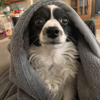 Profile Picture of Jeffery Hudgens (@Jeffery-Hudgens) on Facebook