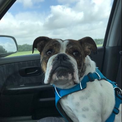 Profile Picture of Nicholas Sellers (@nicholasselle14) on Twitter