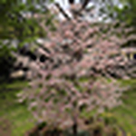 Profile Picture of Jerry  Ray (@Jerry.Ray70) on Flickr