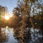 Profile Picture of Chris Caffery (@naturewithmike) on Instagram