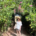 Jennifer Speedie - Instagram Profile Picture of Jennifer Speedie (@spejj) on Instagram