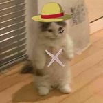 Profile Picture of Slade Laszewski (@slade_l) on Instagram