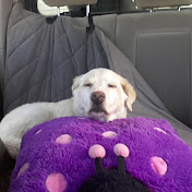 Profile Picture of Ginger Townsend (@gingertownsend4144) on Youtube